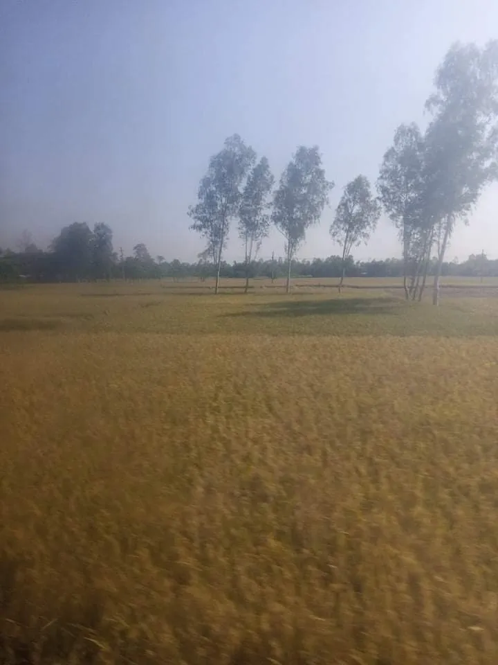 received_306765751053180.jpeg