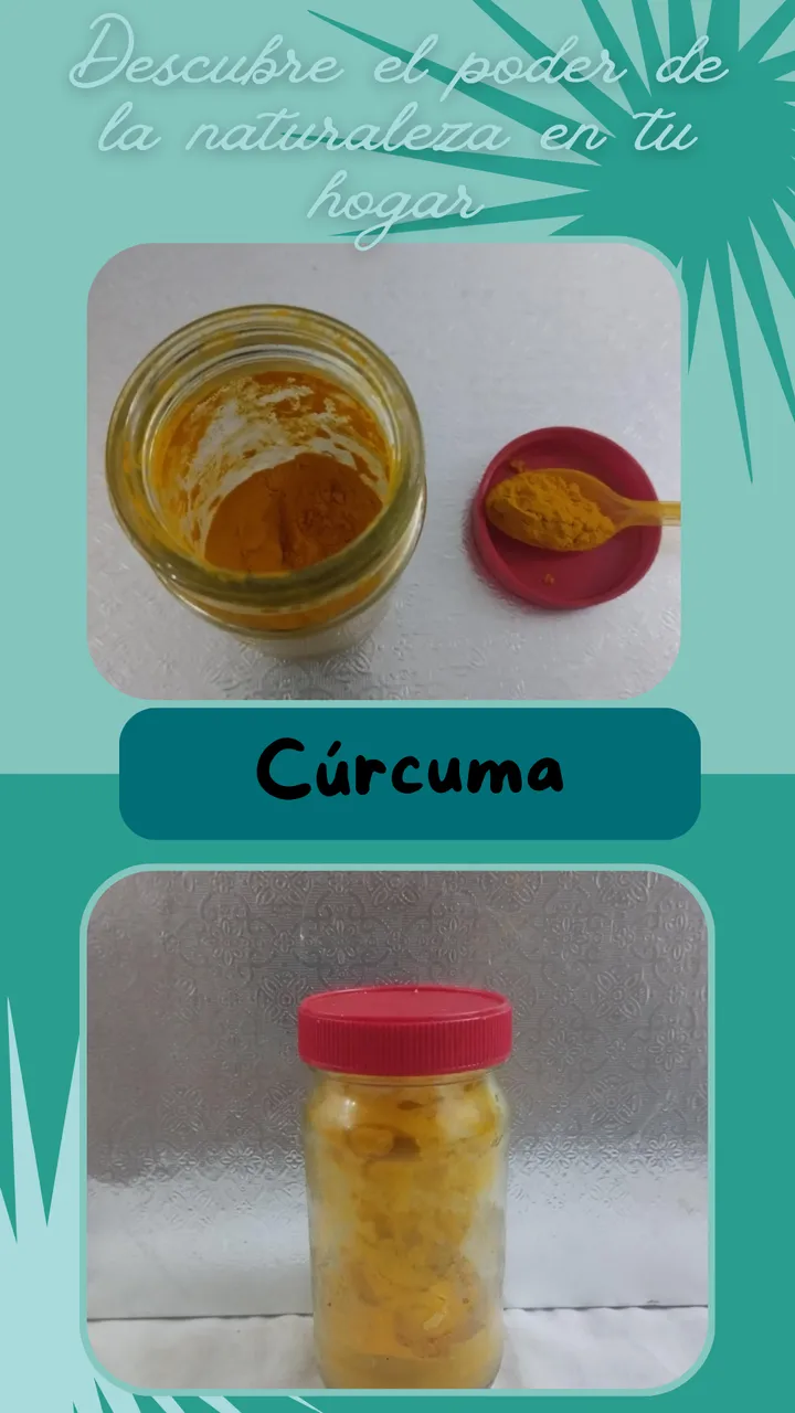 curcuma en tu hogar.png