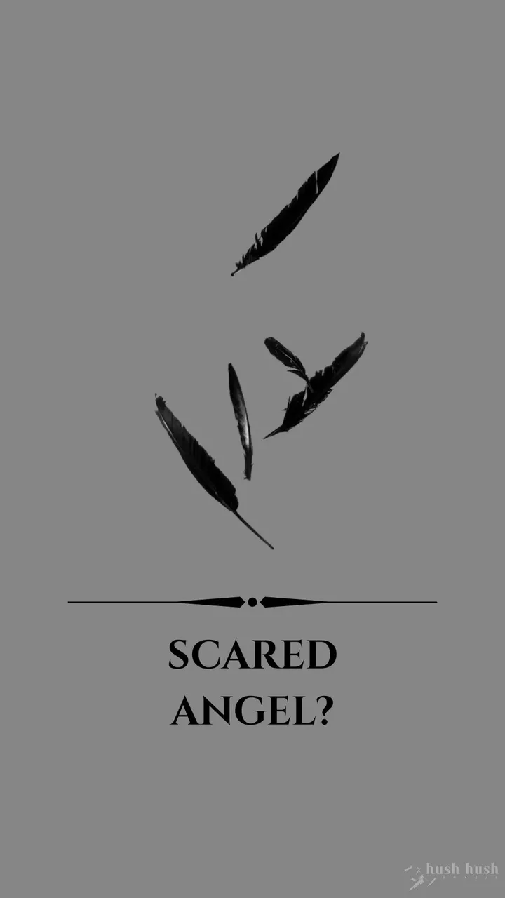 Wallpaper, Hush Hush_.jpg