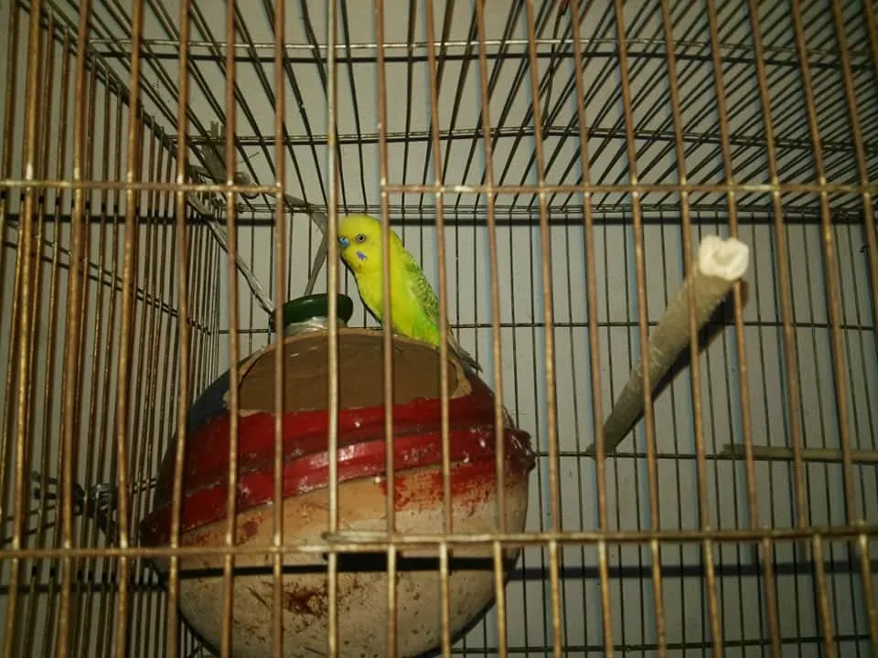 received_614607679260708.jpeg