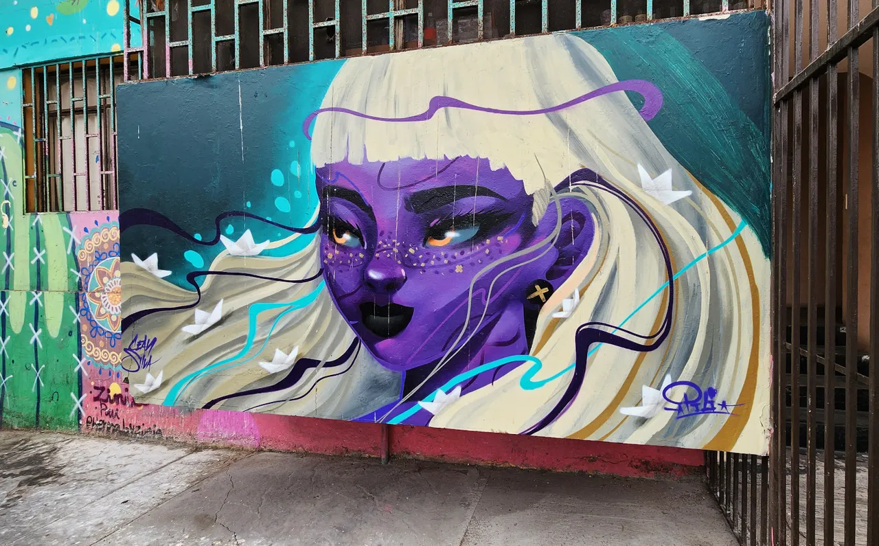 antofagasta-streetart-136.jpg