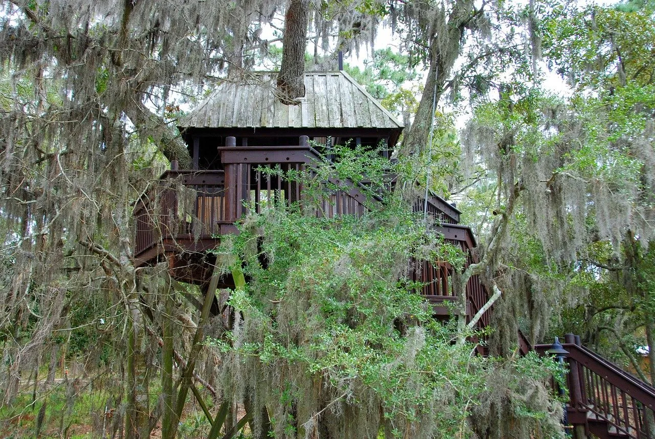 treehouse-gedebfa624_1280.jpg