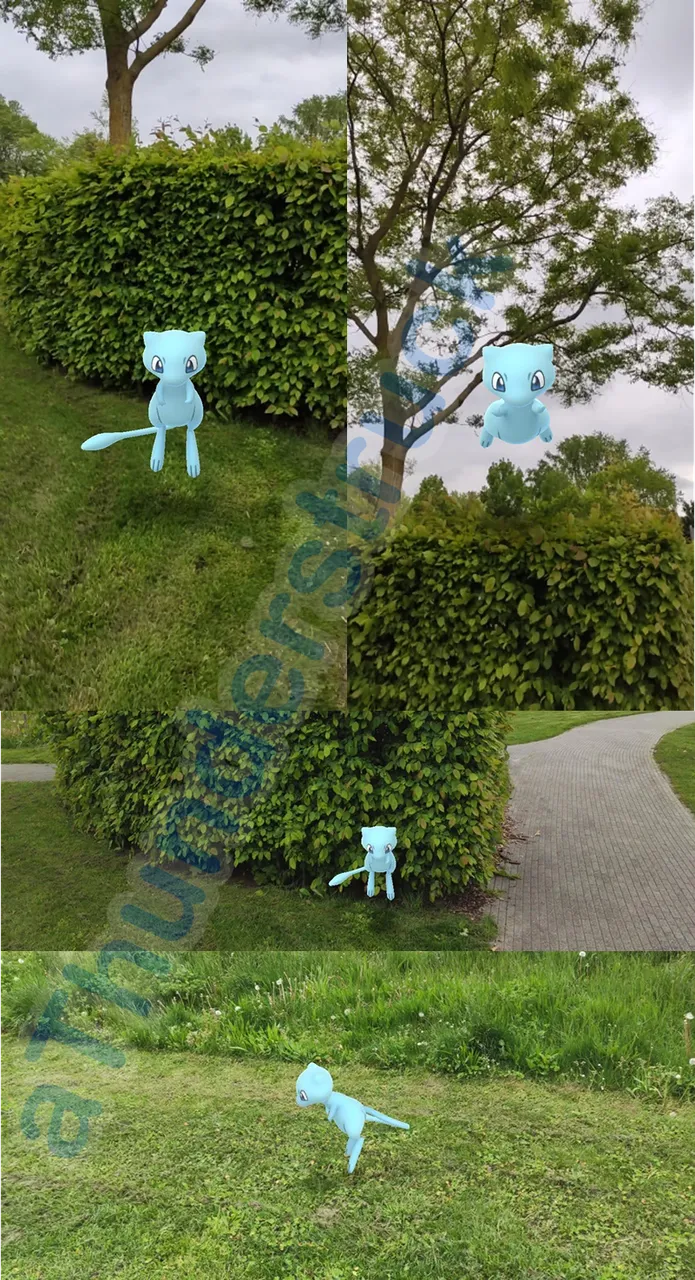 AR Photos Shiny Mew.png