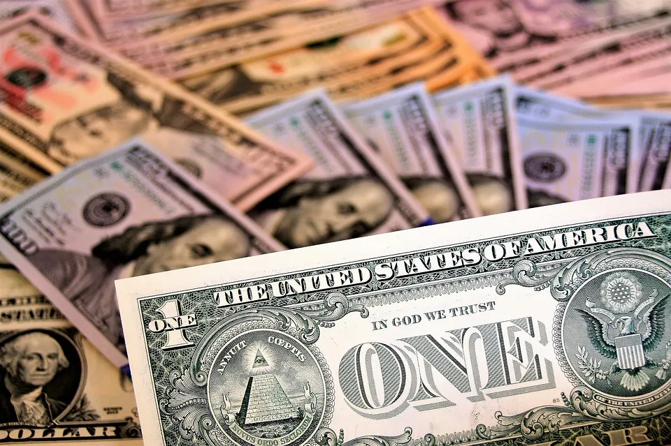 dollar bil one pixa.jpg