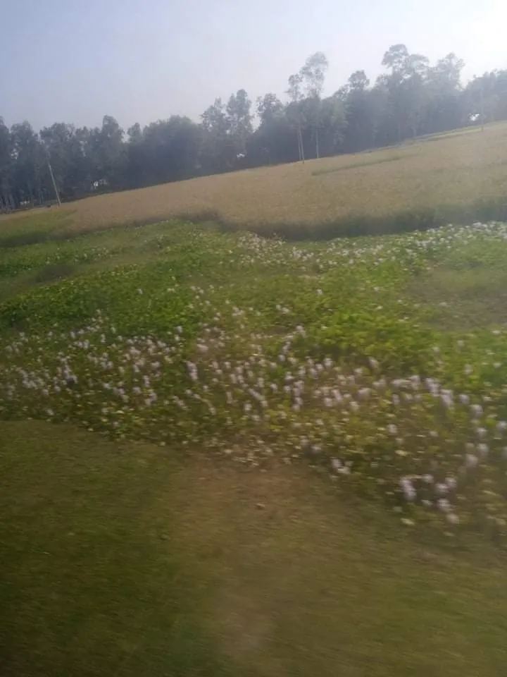received_320735953196936.jpeg