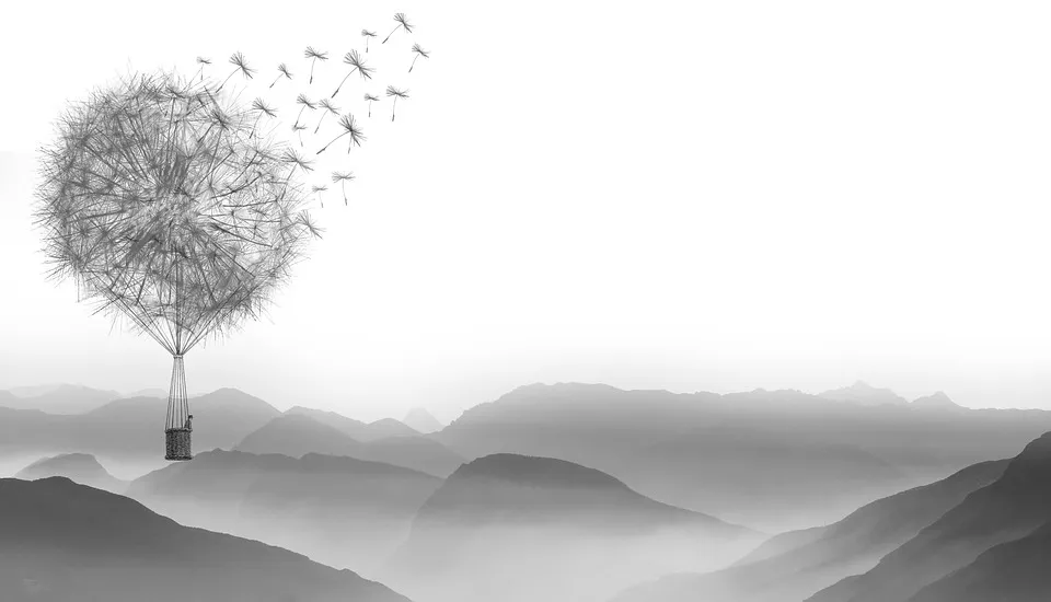 dandelion-1622100_960_720.jpg