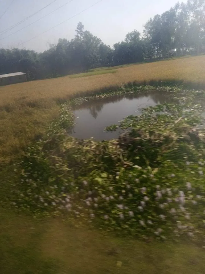 received_468702571219735.jpeg