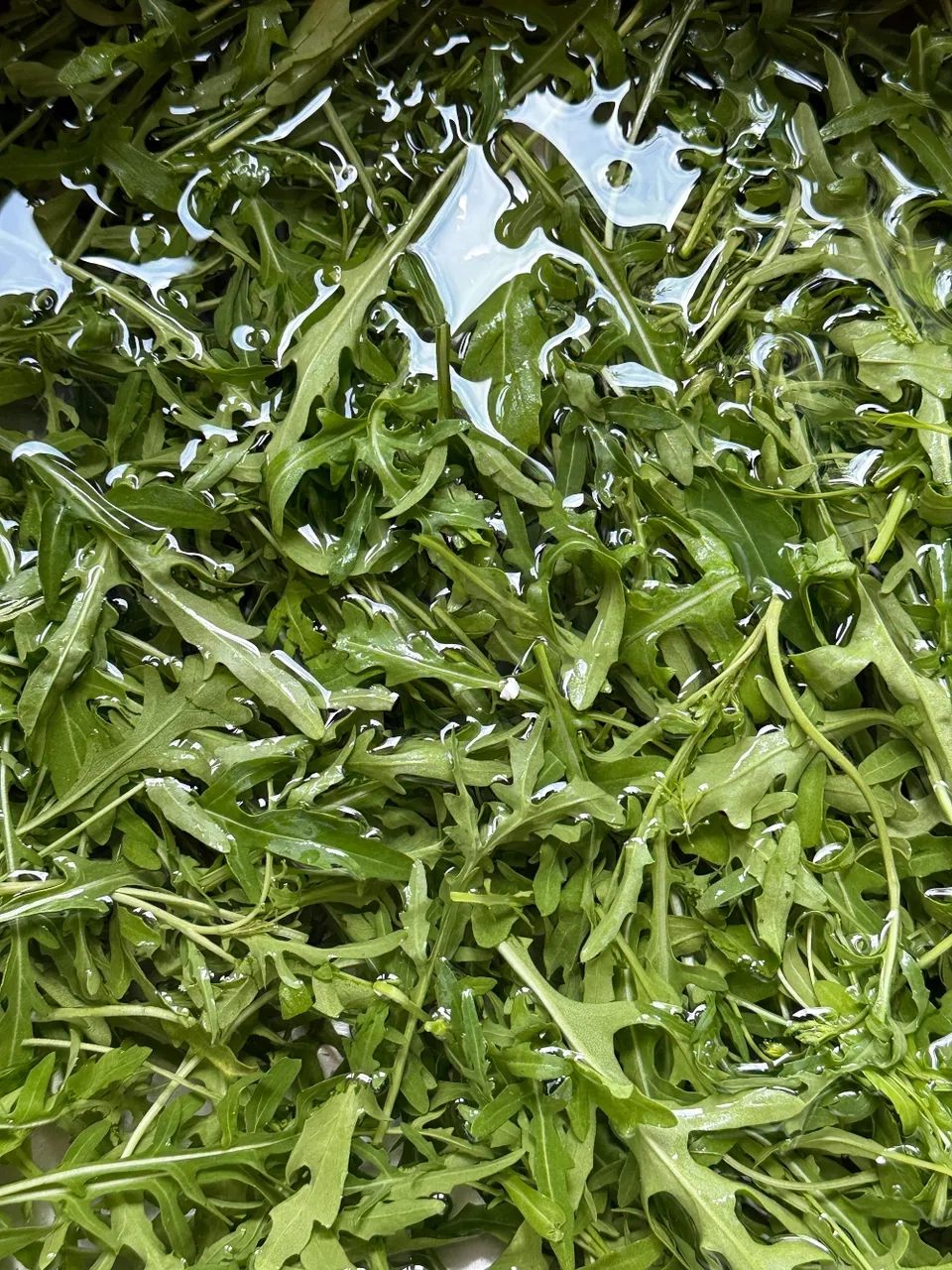 hivegarden-italian-greens.jpg