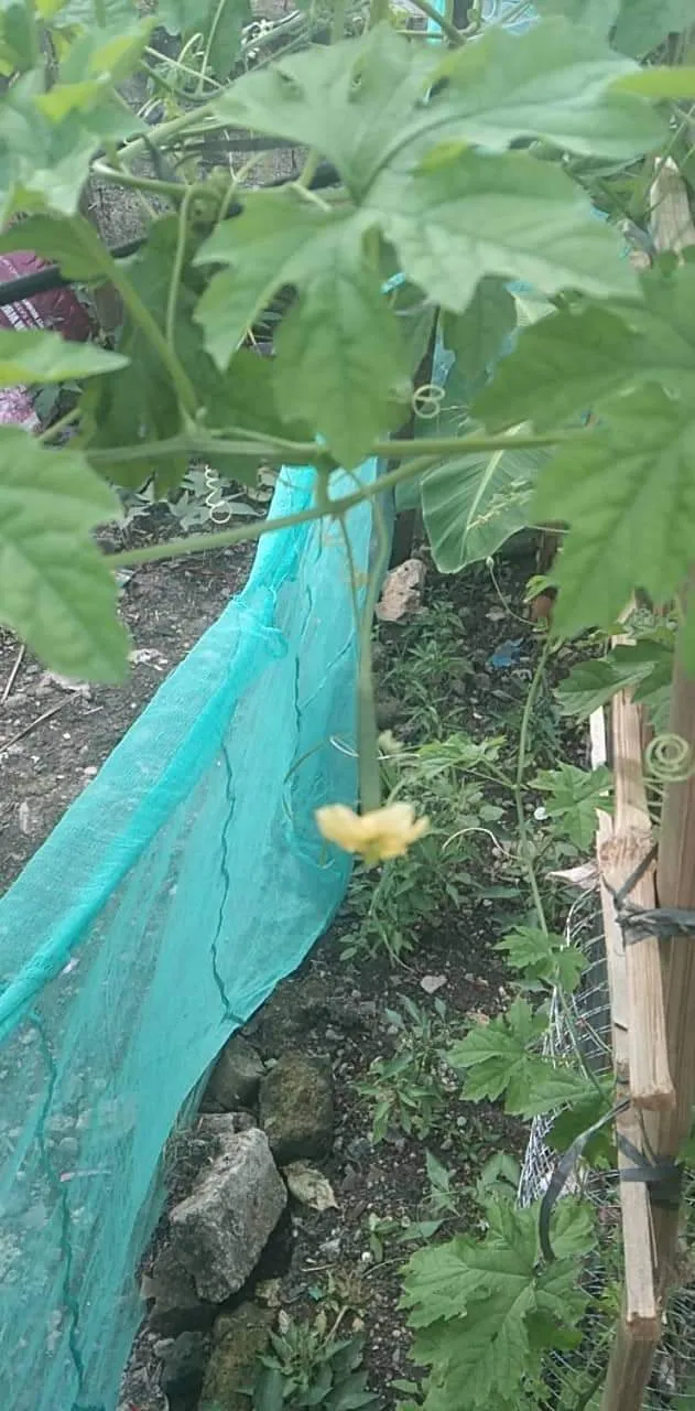 received_410755647616902.jpeg