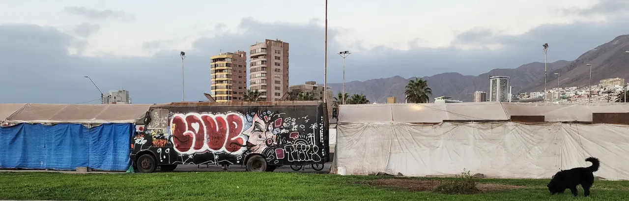 antofagasta-streetart-074.jpg
