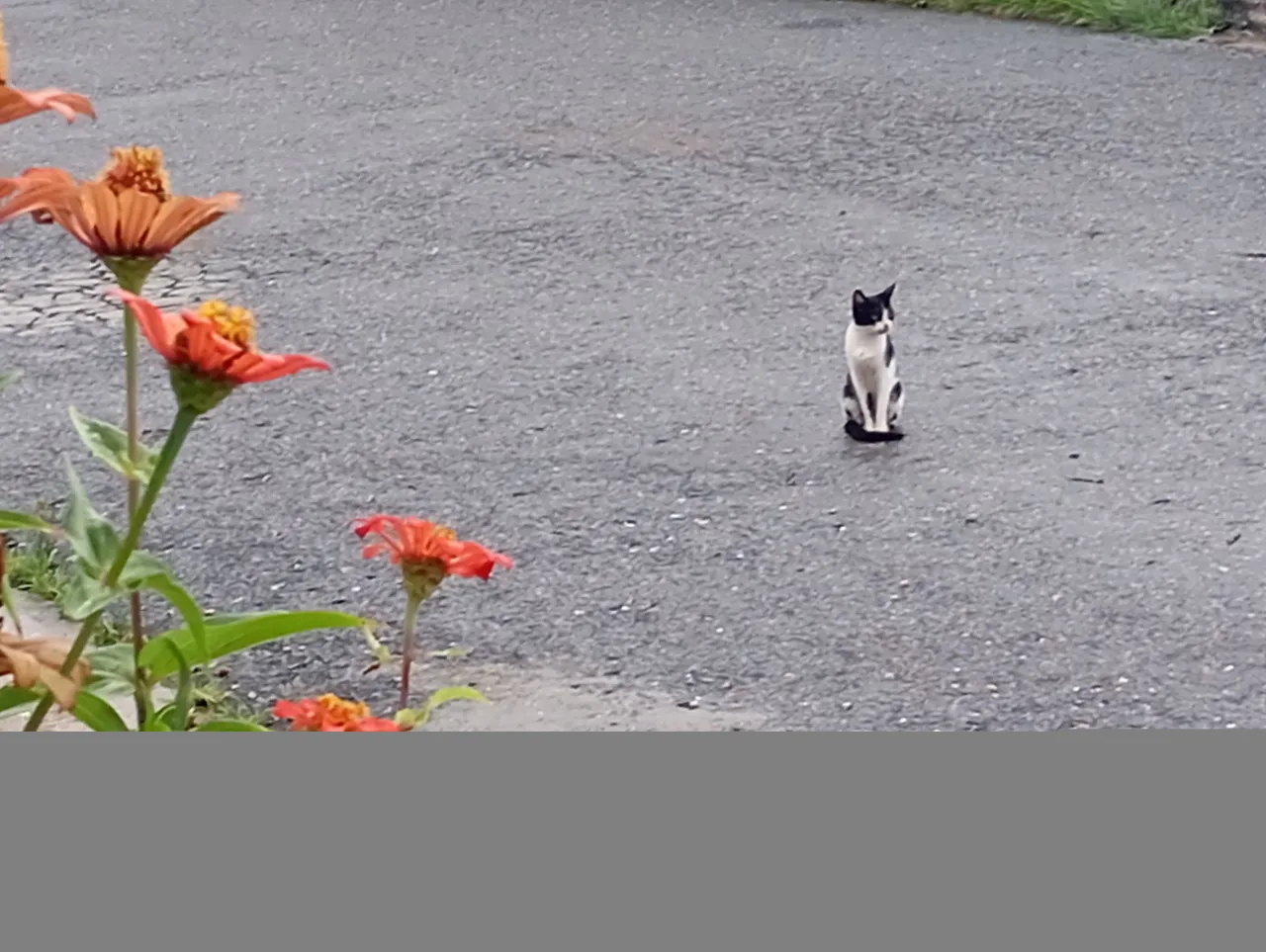 InShot_20250714_113723236.jpg