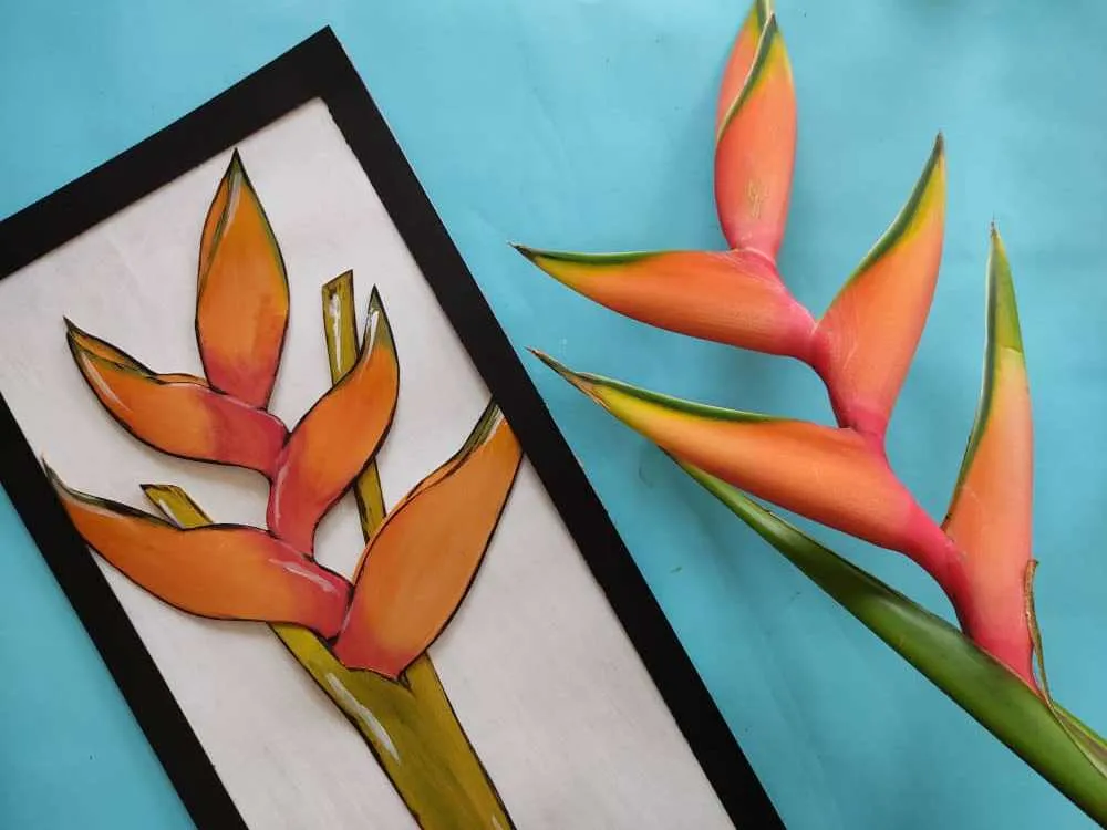 saracamperoflorheliconia.jpeg