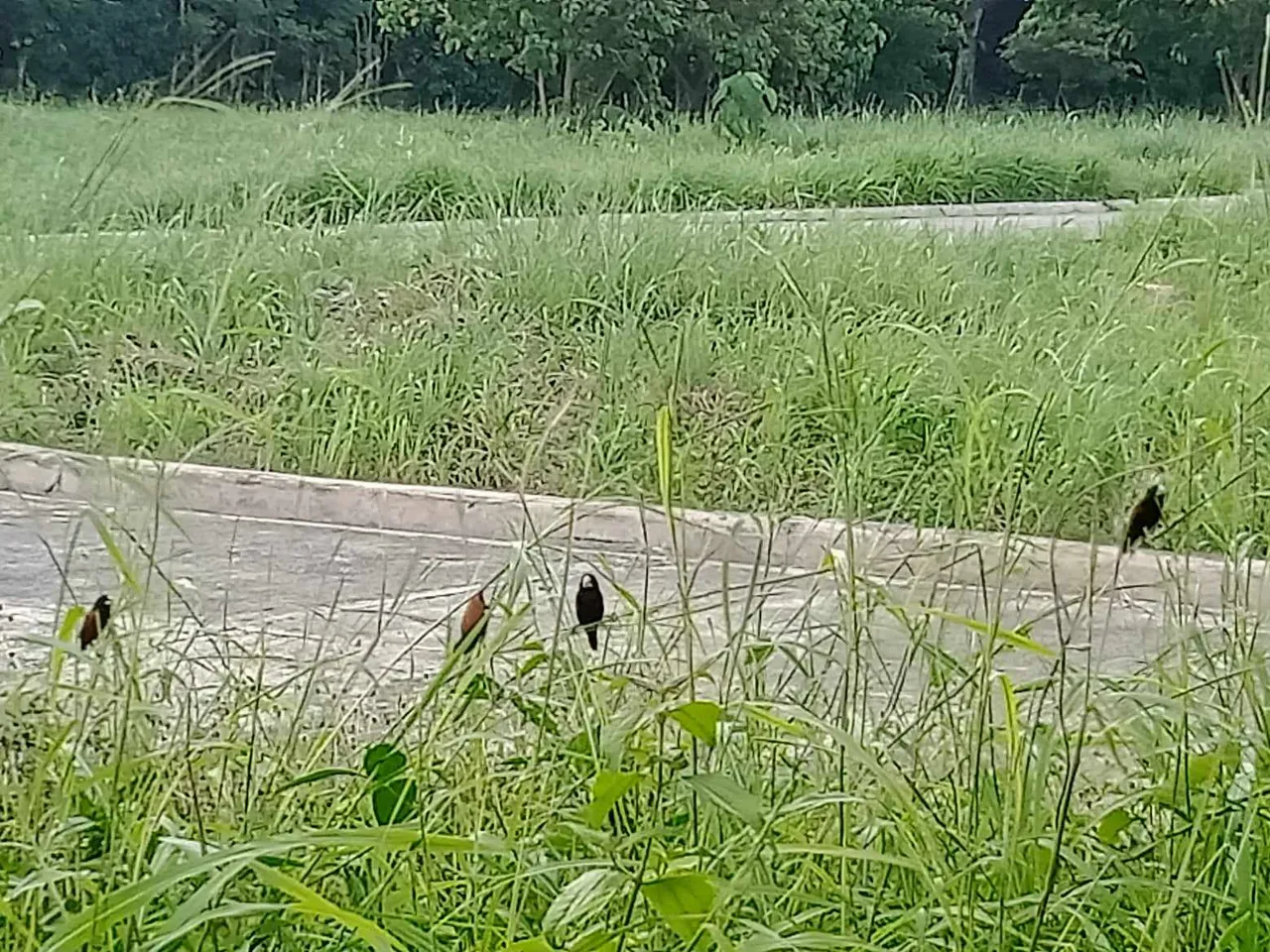received_248423924816223.jpeg