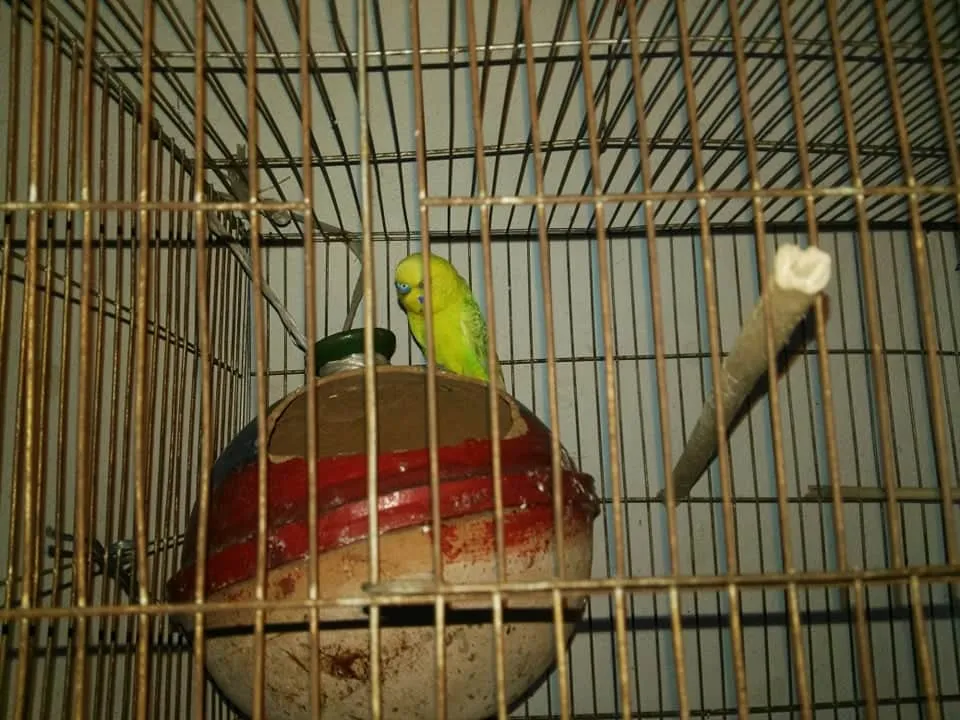 received_742913666275858.jpeg