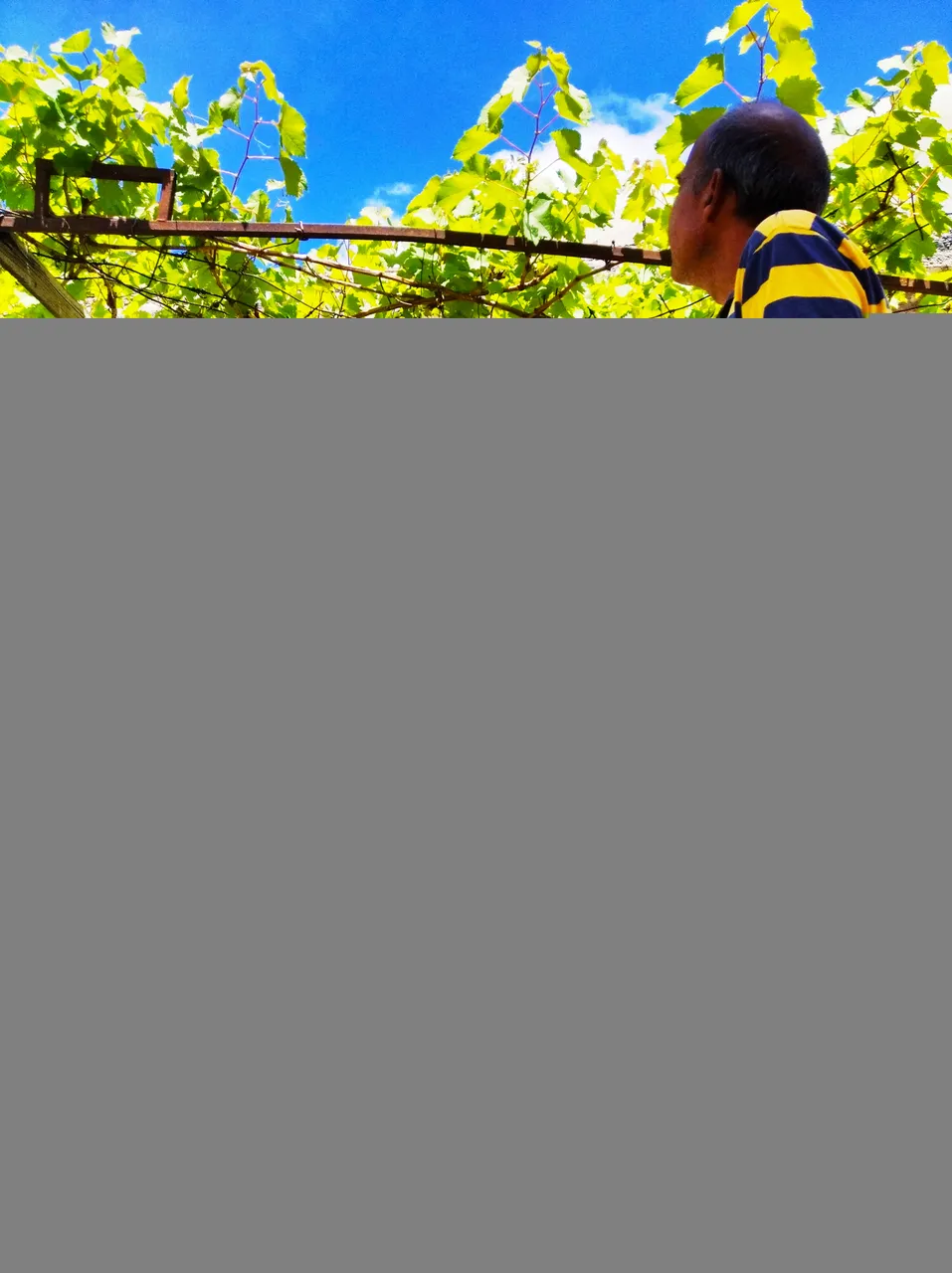 IMG_20201004_134330 (1).jpg
