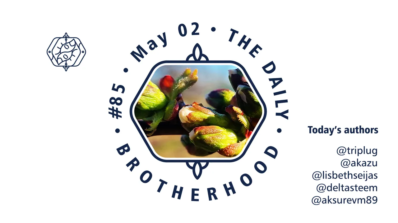 logo_brotherhood_08_85_02.jpg