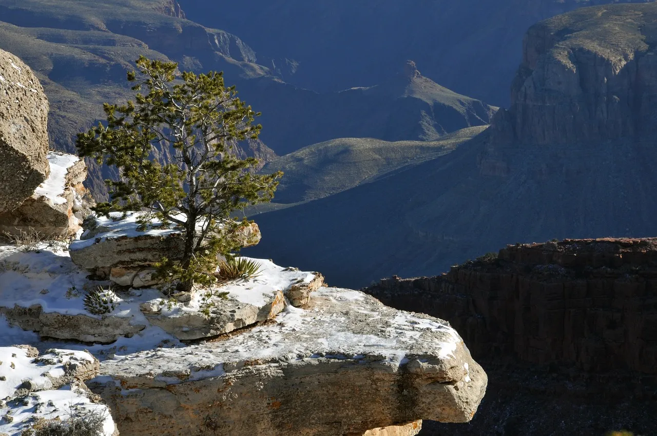 grand-canyon-1079937_1280.jpg
