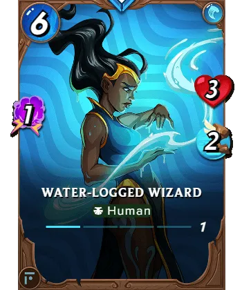 WaterLogged Wizard_lv1.png