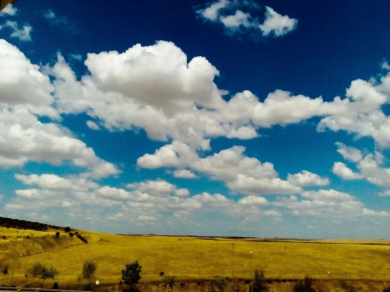 IMG-20190708-WA0010_edited.jpg
