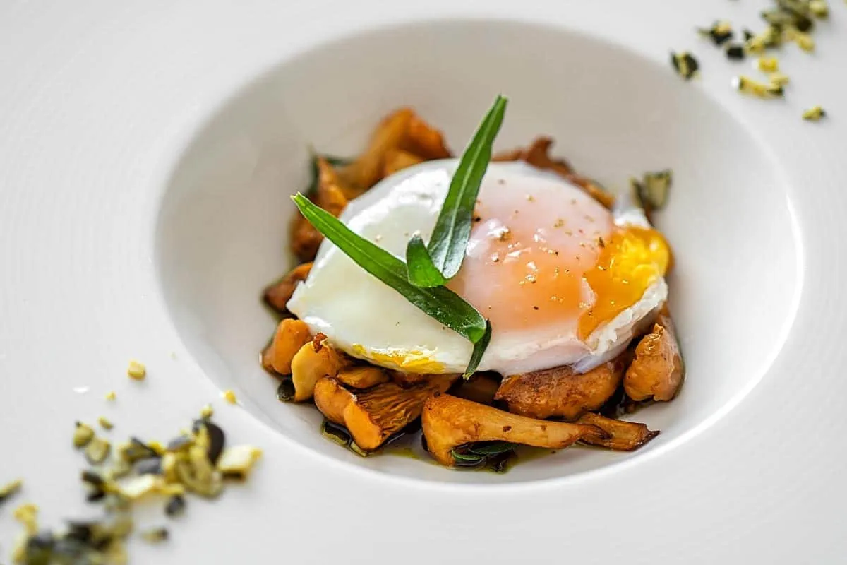 chanterelle with egg