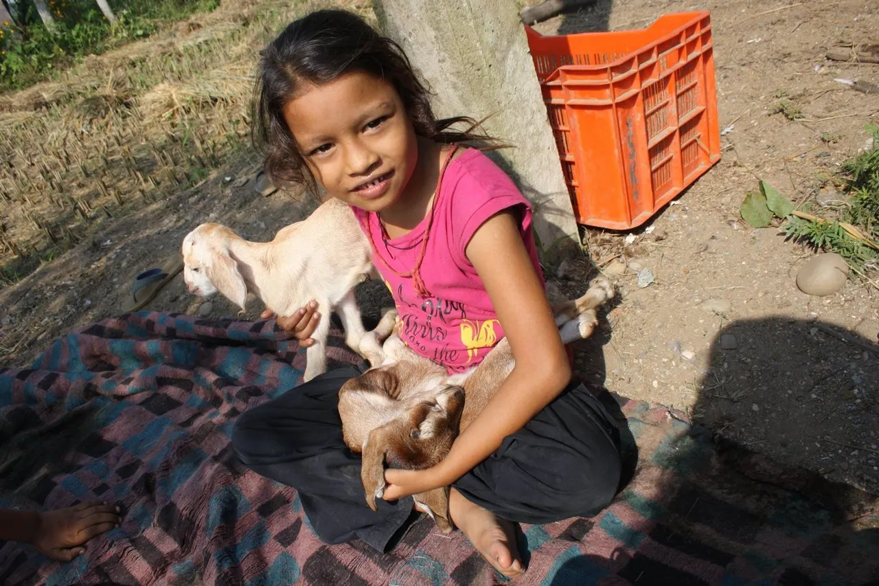 This is the neighbour's daughter. We didn't have a chance to meet her father as he was living and working somewhere in India.