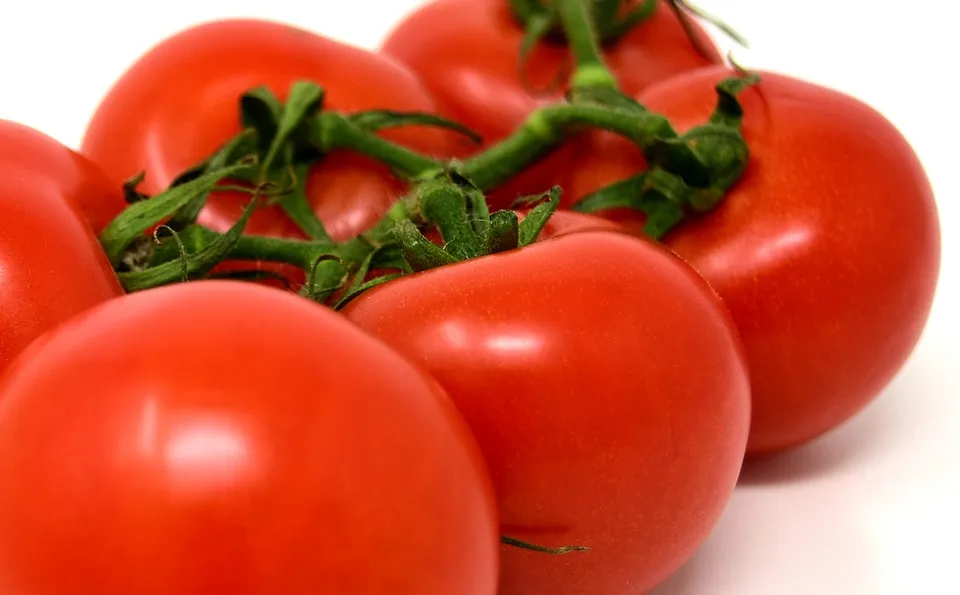 tomatoes-3170806_960_720.jpg
