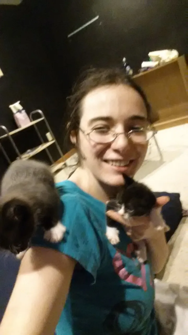 Leah baby cat tree.jpg