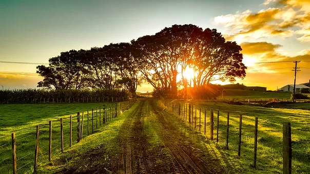 new-zealand-1805939__340.jpg