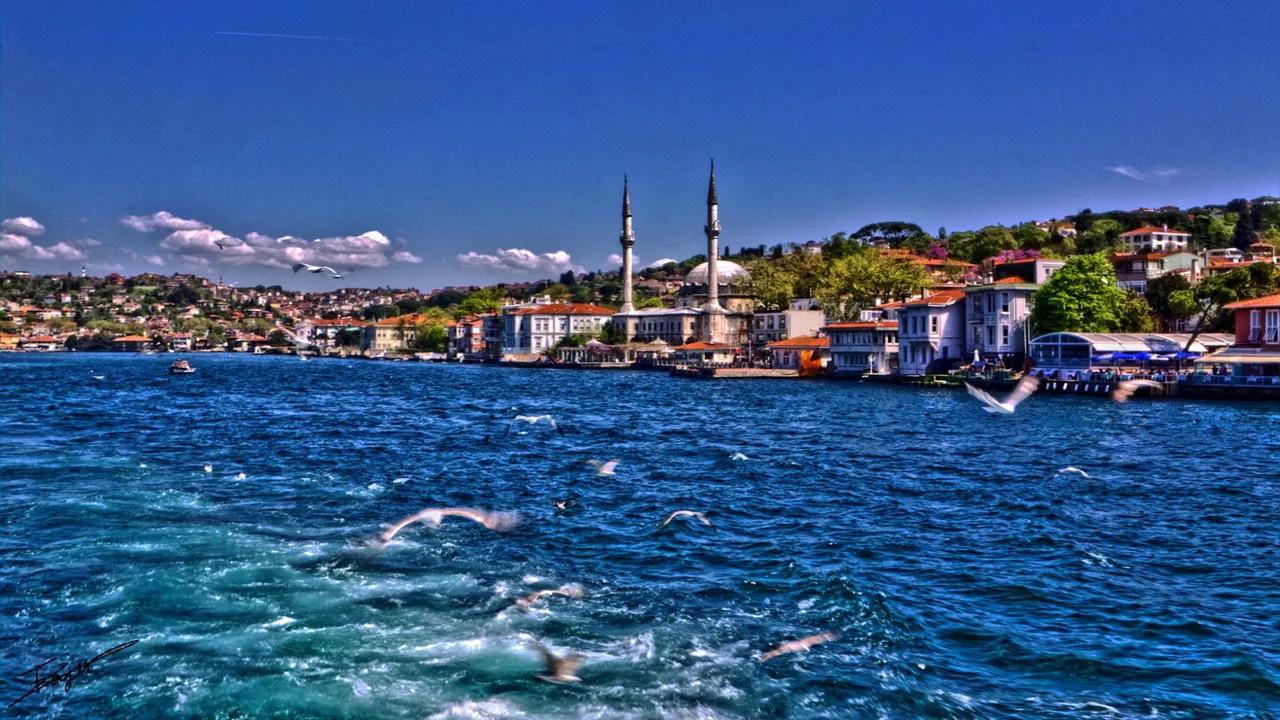 332232_bosphorus-cruise2.jpg