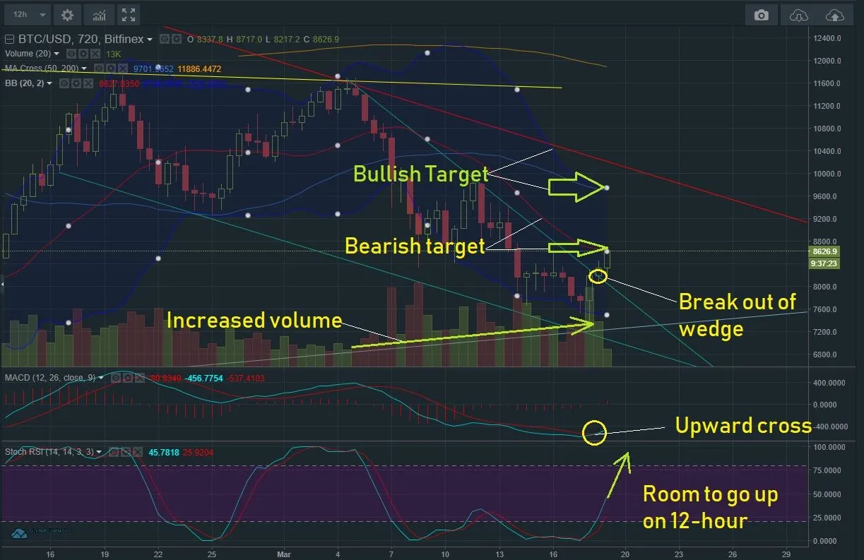 March 19 BTC T&A.jpg