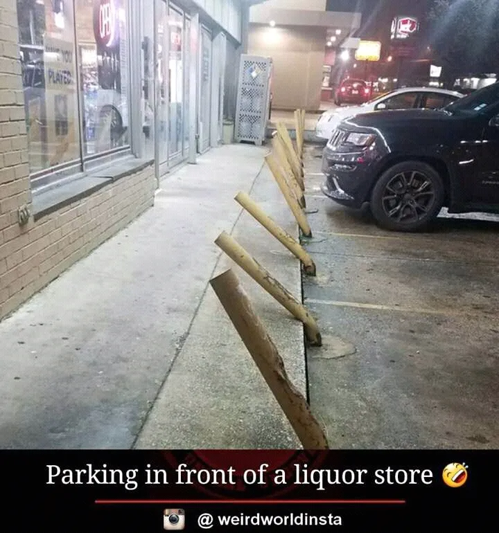 FB_IMG_15192973850000522.jpg