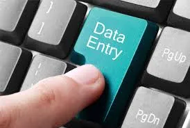 Online data entry .jpg