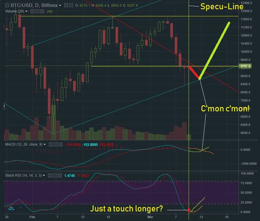 March 10 BTC T&A.jpg