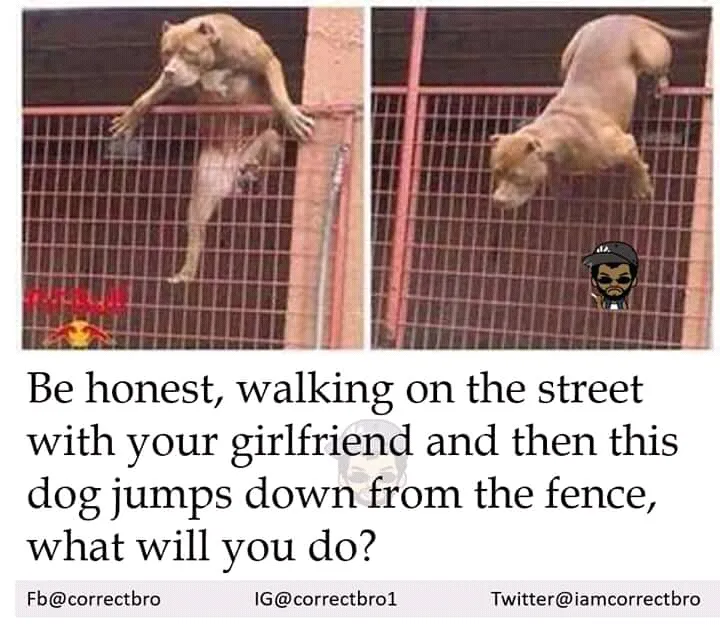 FB_IMG_15240851812008812.jpg