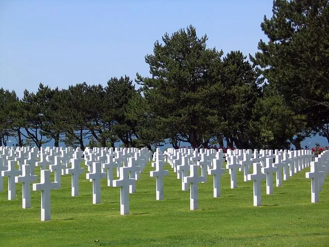 bereavement-1239415__480.jpg