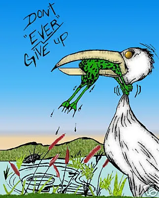 don't ever give up.jpg