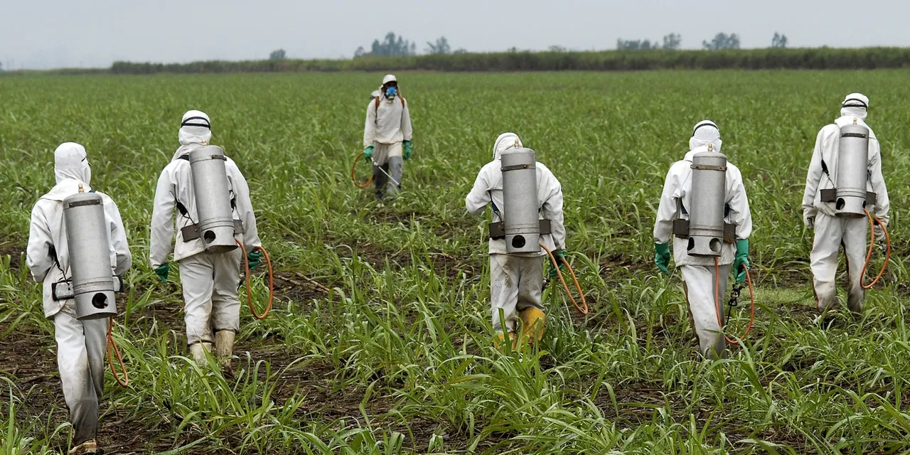 spraying2-article-header.jpg