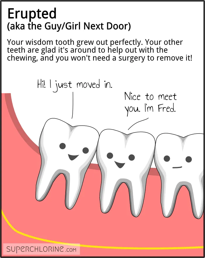 wisdom-teeth-types_erupt.png