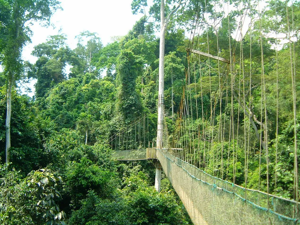 Canopy Walk, Ghana.jpg