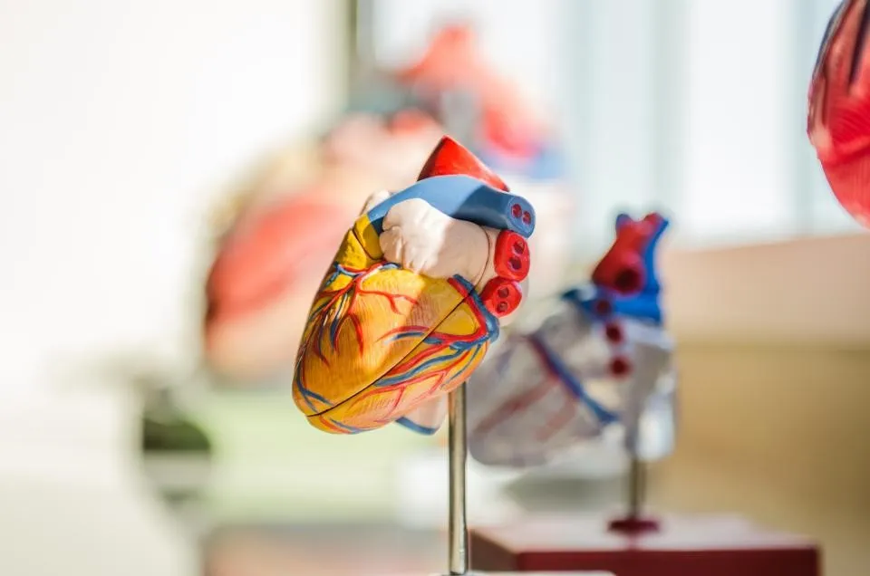 Turmeric-Heart-Disorders.jpg