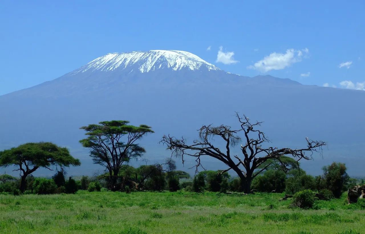 kilimanjaro-1025146_1920.jpg