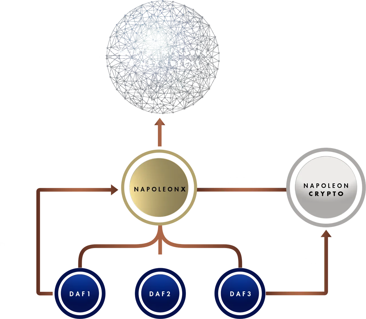 napoleonx about-schema.png