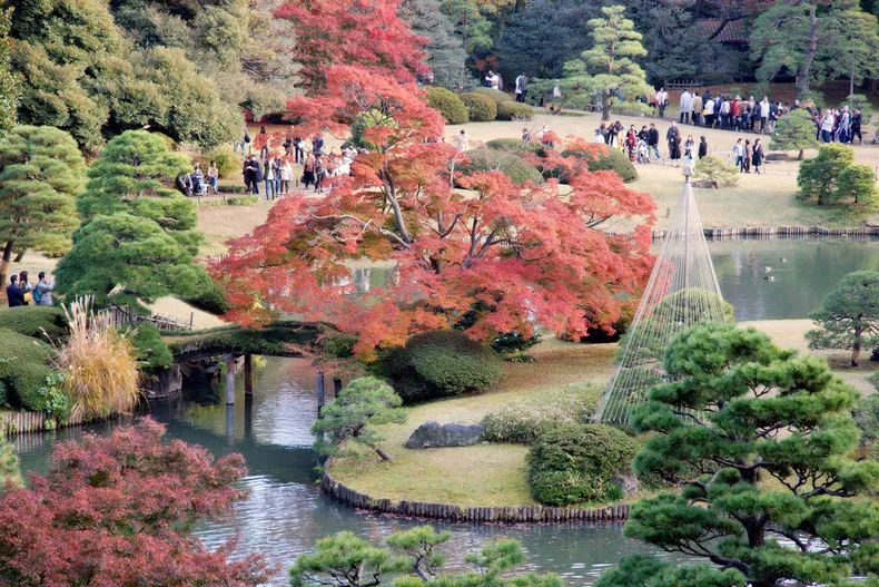 Rikugien-Garden-990-2049.jpg