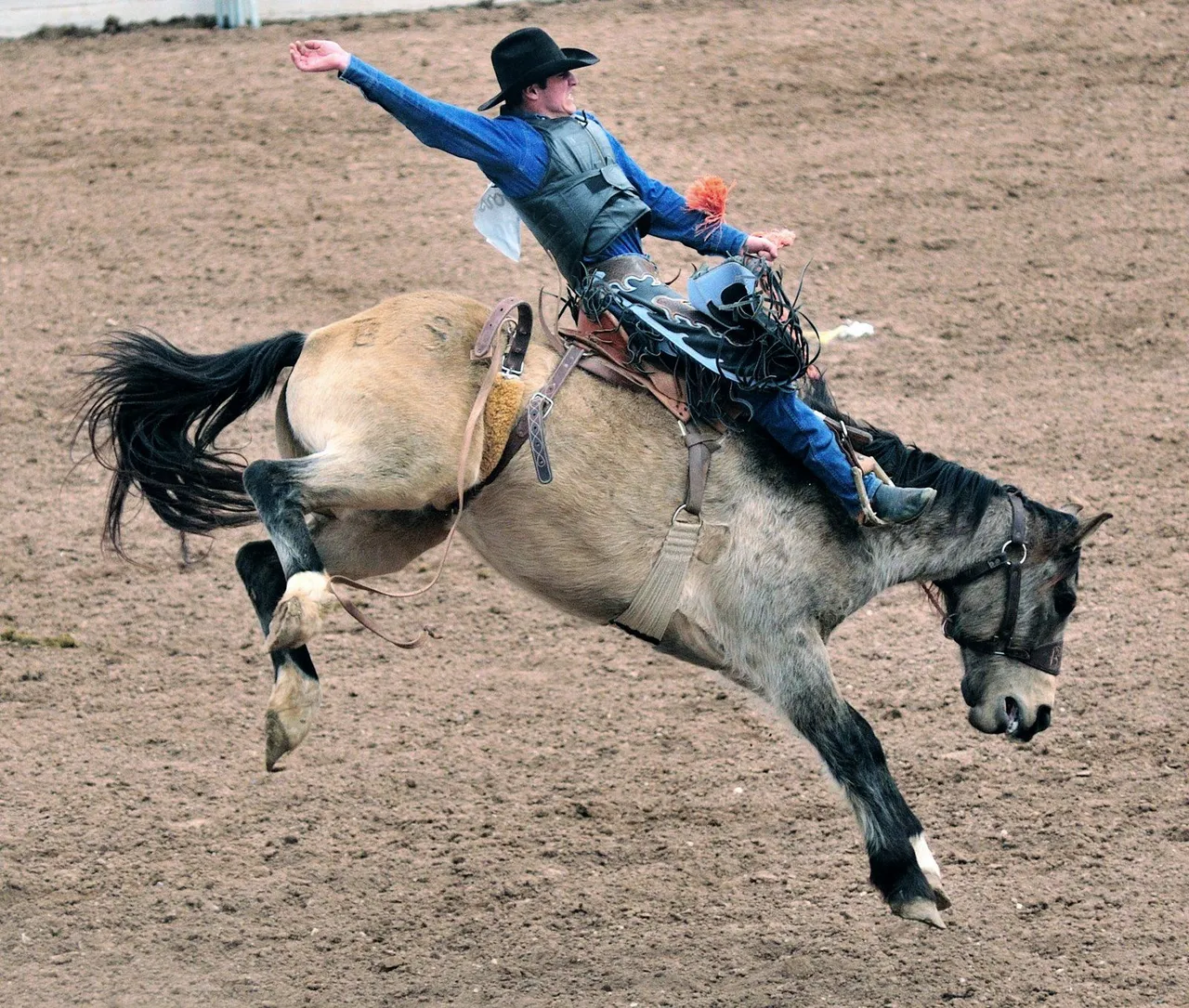 dsc_7209-1_flying_cowboy.jpg