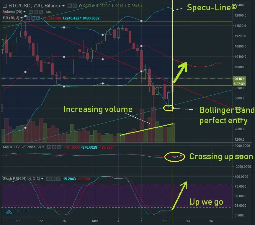 March 11 BTC T&A.jpg