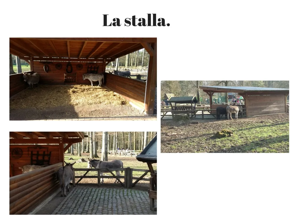 Copy of La stalla..jpg