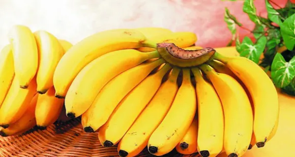 bunch-of-bananas-620x400.jpg