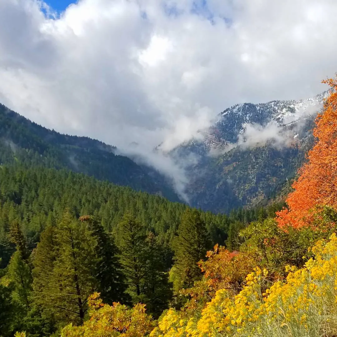 alpine loop utah 2.jpg