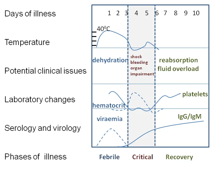 Course_of_Dengue_illness.png