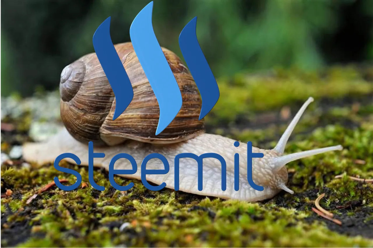 steemit snail trailz.png